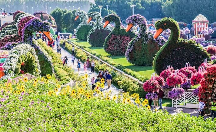 Dubai Miracle Garden, Dubai